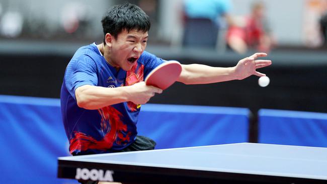 转会可能 转会可能