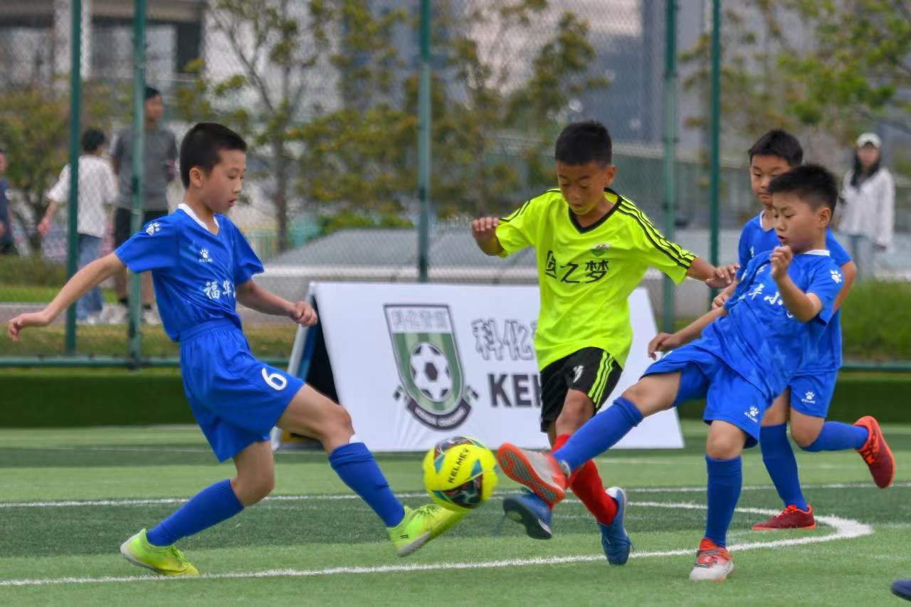 凭借密集的 凭借密集的