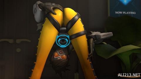 已自然融入 已自然融入